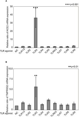 Fluticasone Propionate Suppresses Poly(I:C)-Induced ACE2 in Primary Human Nasal Epithelial Cells